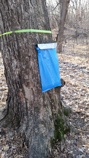 Park «French Regional Park», reviews and photos, 12605 Rockford Rd, Plymouth, MN 55441, USA