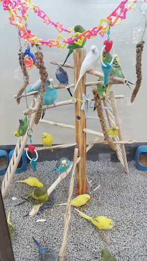 Pet Supply Store «Petco Animal Supplies», reviews and photos, 2807 Wilma Rudolph Blvd, Clarksville, TN 37040, USA