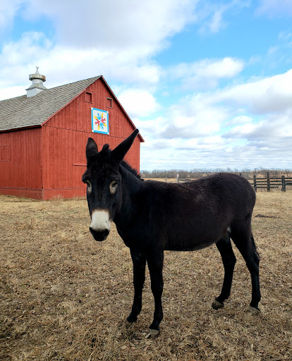 Historical Landmark «Little House on the Prairie Museum», reviews and photos, 2507 3000 Rd, Independence, KS 67301, USA