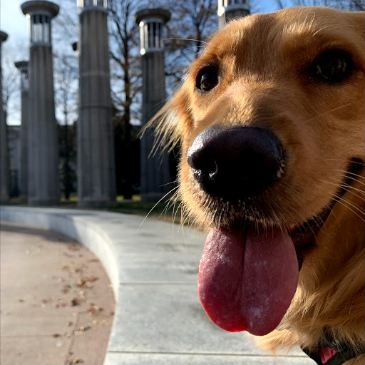 State Park «Bicentennial Capitol Mall State Park», reviews and photos, 600 James Robertson Pkwy, Nashville, TN 37243, USA