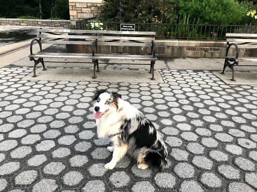 Park «Carl Schurz Park», reviews and photos, East 86th Street & East End Ave, New York, NY 10028, USA