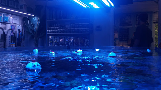 Tropical Fish Store «Richmond Aquarium», reviews and photos, 3645 Speeks Dr, Midlothian, VA 23112, USA