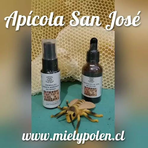 Apicola San José - Chillán Viejo