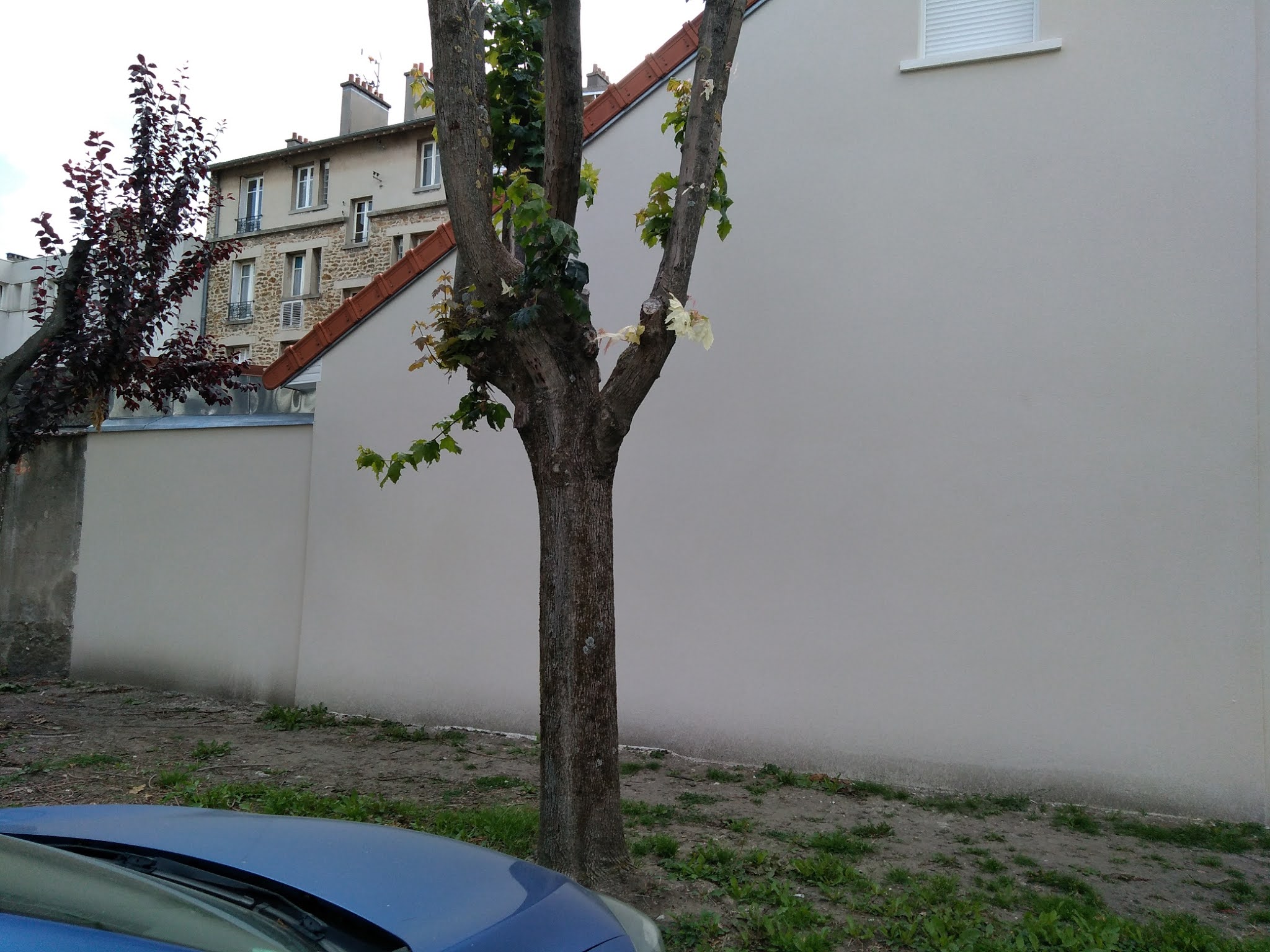 Photo n° 2 de l'avis de Sandrine.a fait le 01/07/2020 à 08:33