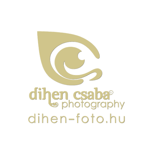 Értékelések erről a helyről: Dihen Fotó Stúdió, Debrecen - Fényképész