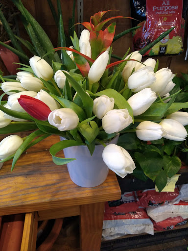 Florist «Sunshine Florist Inc.», reviews and photos, 946 1st Avenue, New York, NY 10022, USA