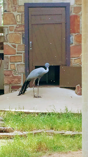 Zoo «Little Rock Zoo», reviews and photos, 1 Zoo Dr, Little Rock, AR 72205, USA