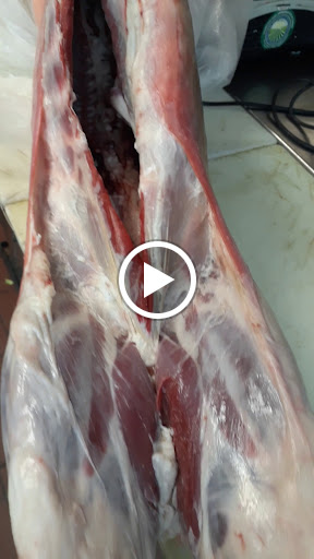 Butcher Shop «Acropolis Meats», reviews and photos, 148 E Tarpon Ave, Tarpon Springs, FL 34689, USA