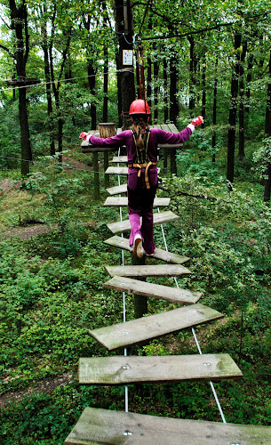 Rezensionen über Kletterwald Leipzig in Einsiedeln - Fitnessstudio