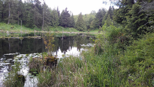 Park «Lord Hill Park», reviews and photos, 12921 150th St SE, Snohomish, WA 98290, USA