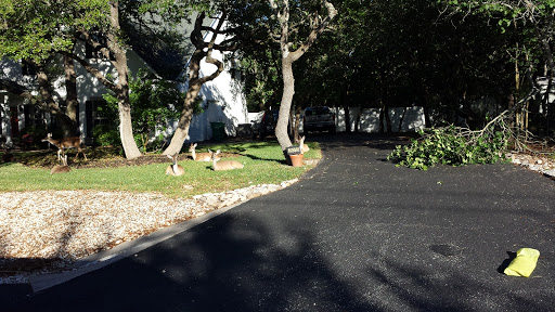 Florist «Plantiques Flowers by Brenda Fry», reviews and photos, 30131 Bulverde Ln, Bulverde, TX 78163, USA