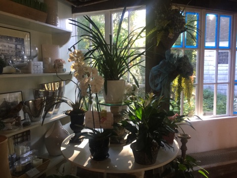 Florist «Guilford White House Florist», reviews and photos, 966 Boston Post Rd, Guilford, CT 06437, USA