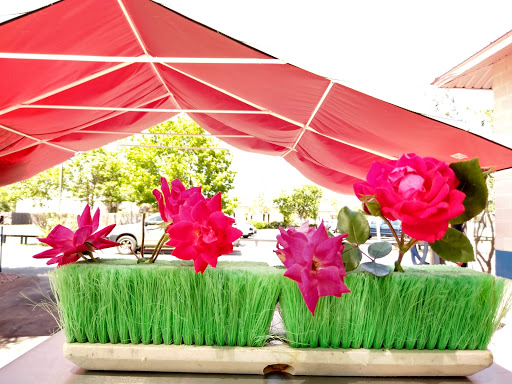 Car Wash «Precision Car Wash», reviews and photos, 2020 S Austin Ave, Georgetown, TX 78626, USA