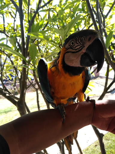 Pet Store «Inez Pet Shop», reviews and photos, 3825 Whittier Blvd, Los Angeles, CA 90023, USA