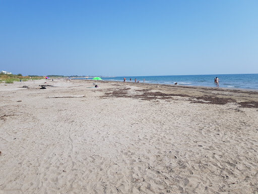 Spiaggia degli Alberoni