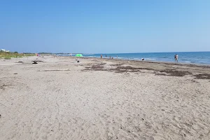 Spiaggia degli Alberoni image