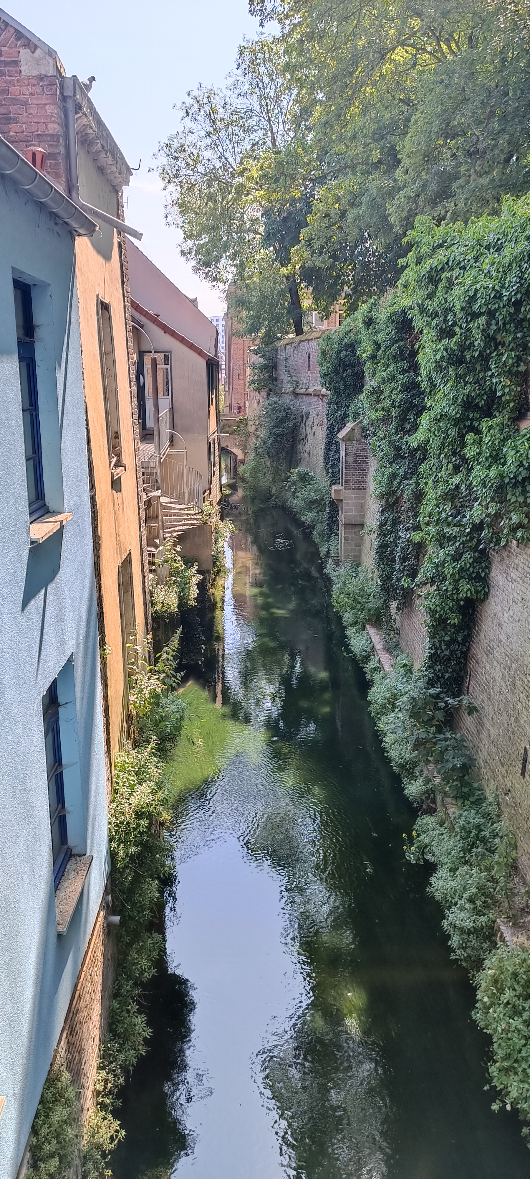 Photo n° 5 de l'avis de Sylvain.o fait le 13/07/2023 à 07:55