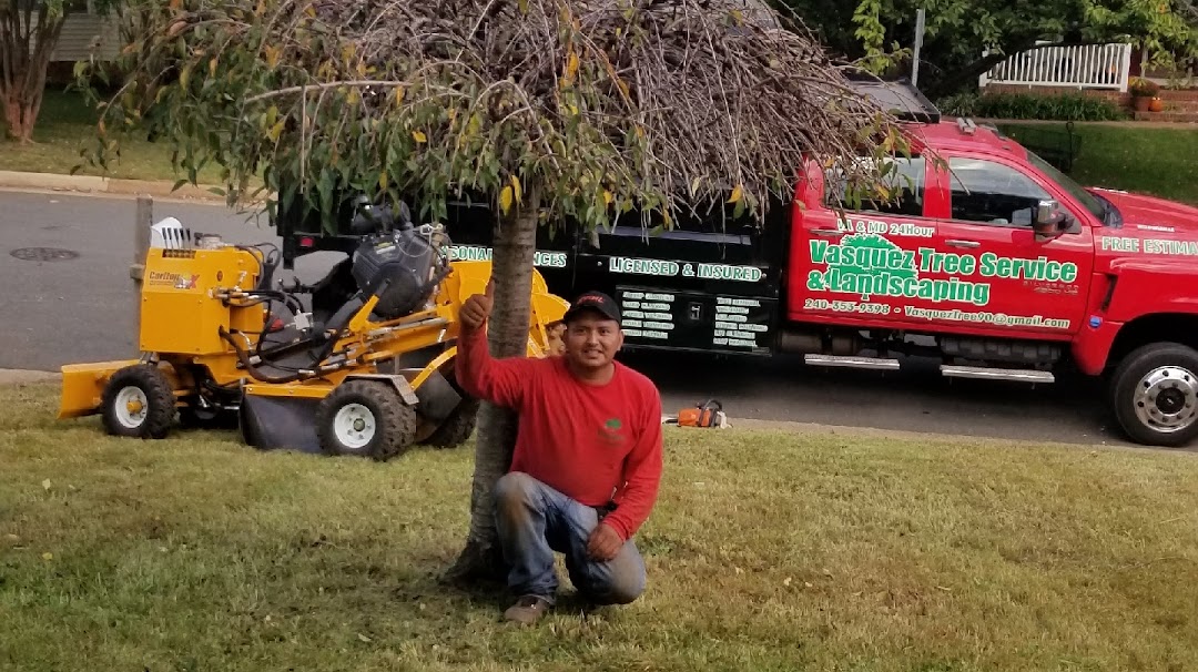 Vasquez Tree Service & Landscaping&more