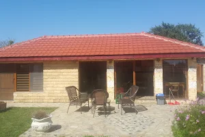 Guest House Albena image