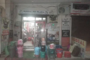 Duggal Pet Plaza - Pet Shop In Ambala image