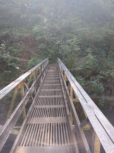Waterfall «Horsetail Falls», reviews and photos, Historic Columbia River Hwy, Cascade Locks, OR 97014, USA