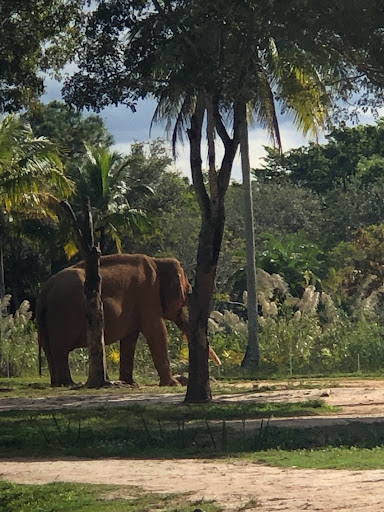 Park «Larry and Penny Thompson Park», reviews and photos, 12451 SW 184th St, Miami, FL 33177, USA