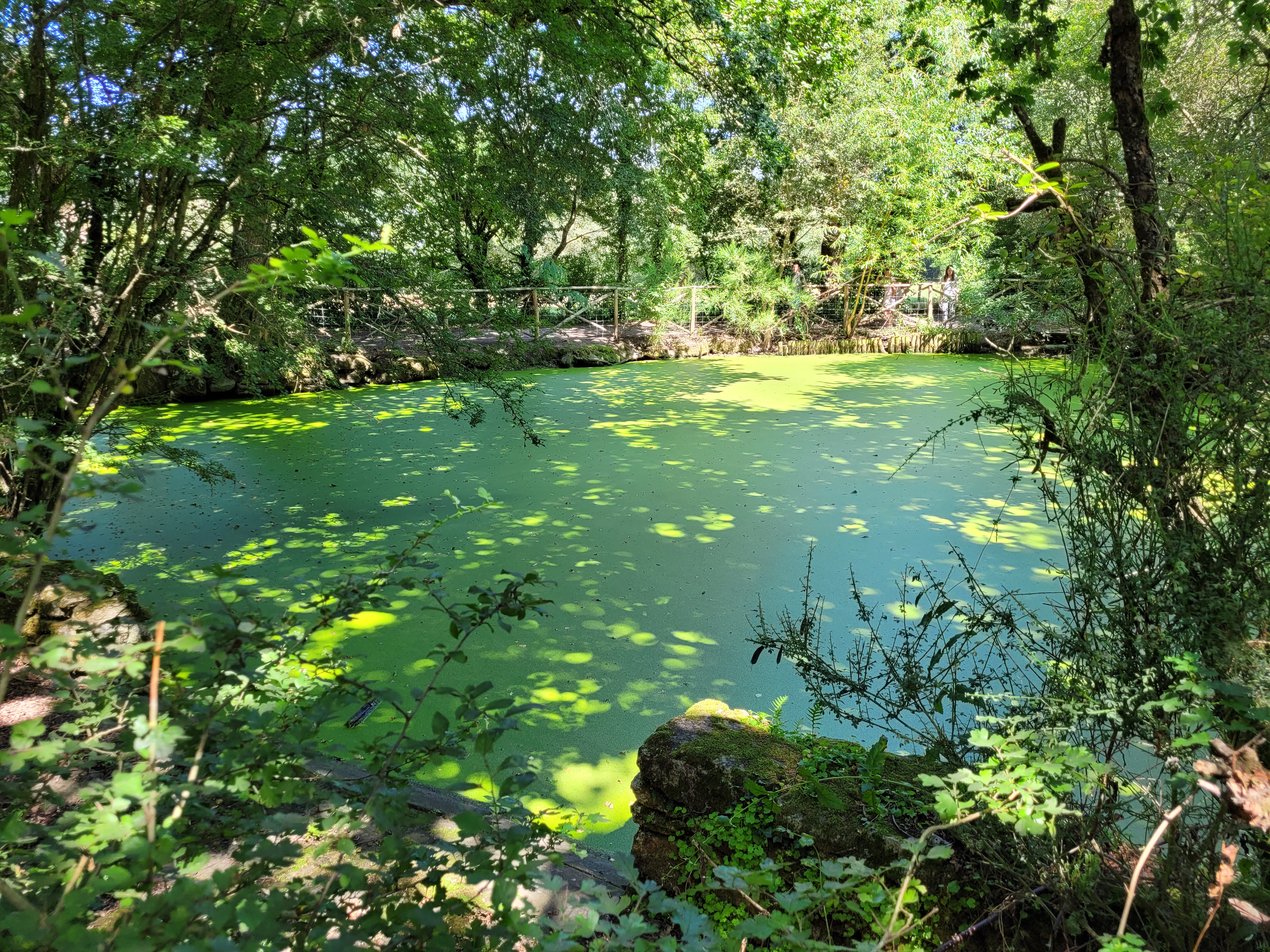 Photo n° 8 de l'avis de Florian.a fait le 21/07/2021 à 14:24