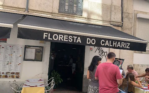 Floresta do Calhariz image