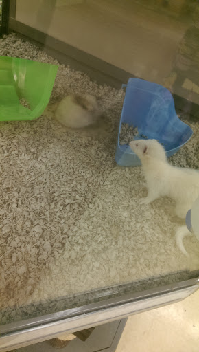 Pet Supply Store «Petco Animal Supplies», reviews and photos, 2242 N Richmond Rd, McHenry, IL 60051, USA