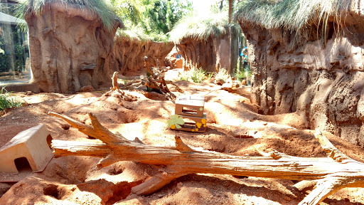 Zoo «Brevard Zoo», reviews and photos, 8225 N Wickham Rd, Melbourne, FL 32940, USA