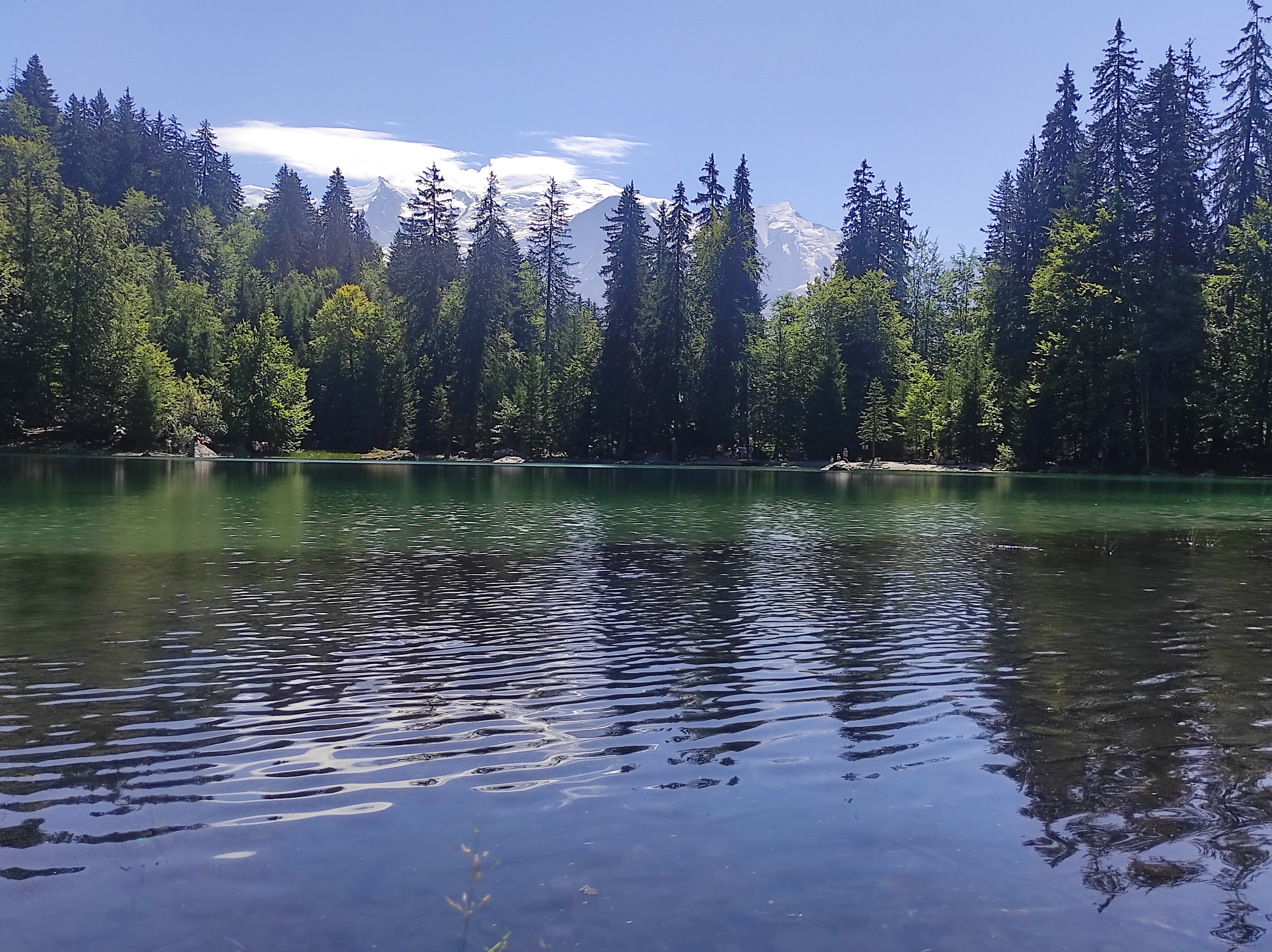 Photo n° 2 de l'avis de Pierre.e fait le 20/08/2023 à 16:44