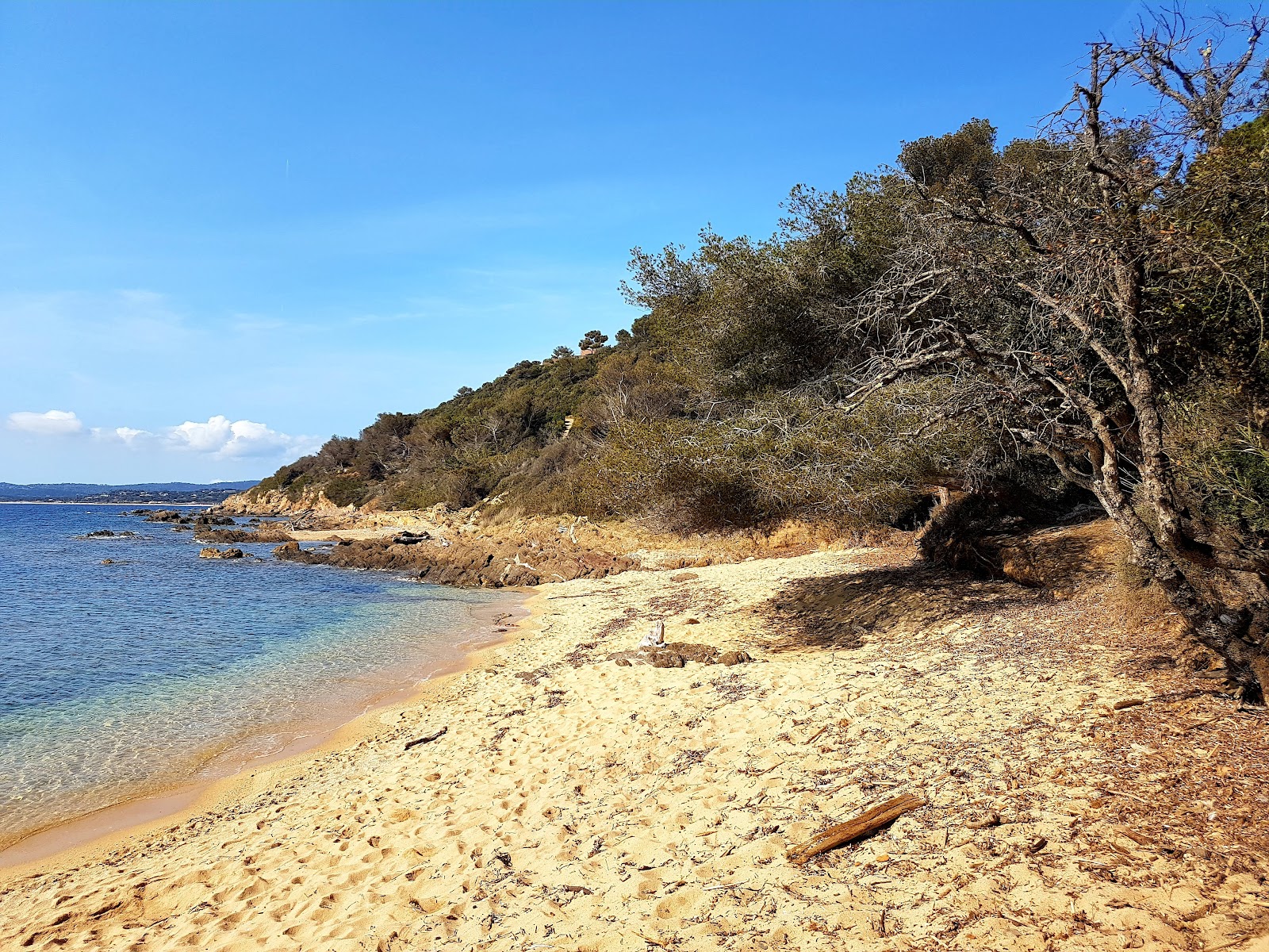 Foto di Plage de la Garrigue zona selvaggia