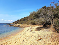Foto di Plage de la Garrigue zona selvaggia