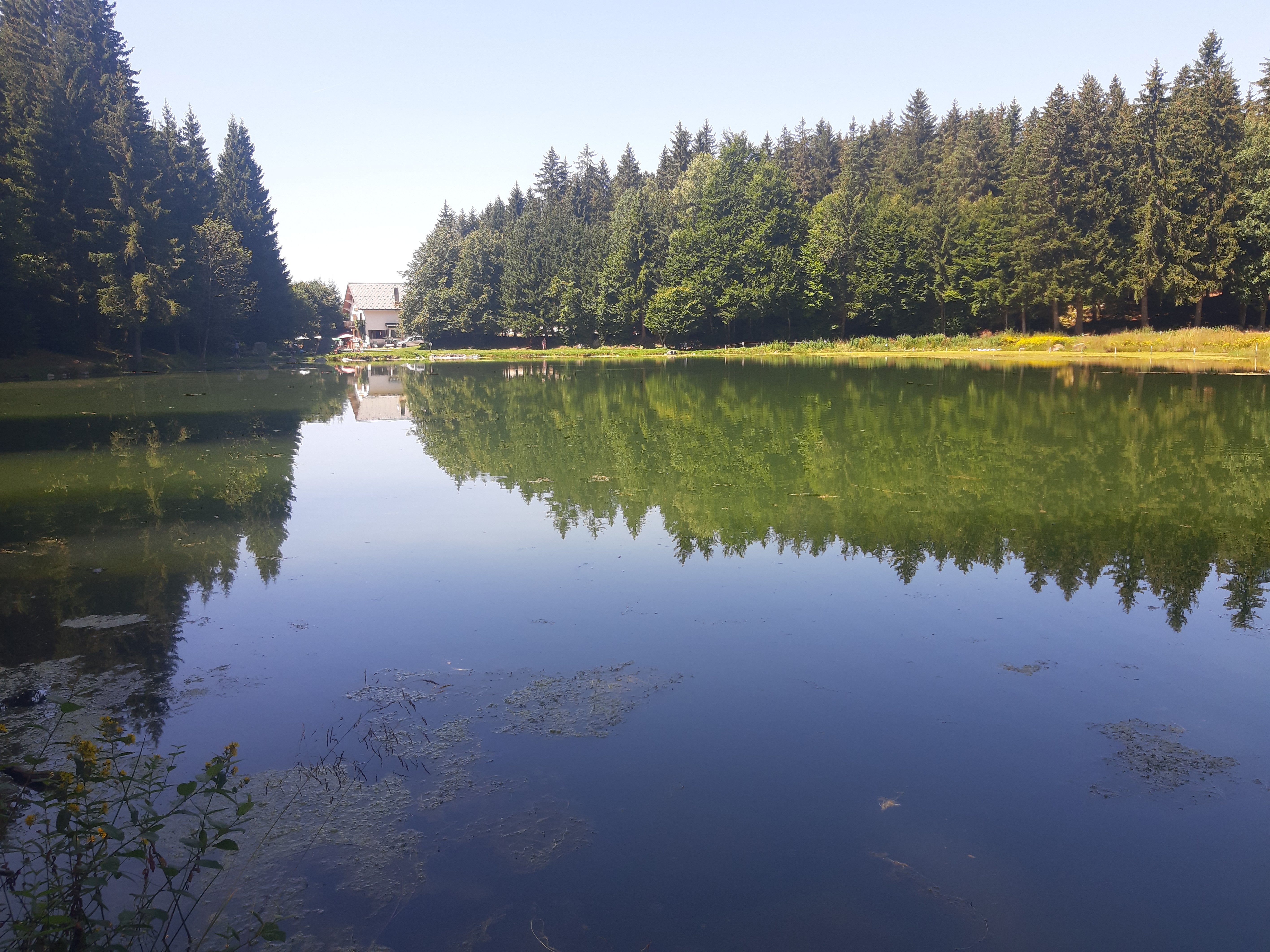 Photo n° 3 de l'avis de Véronique.r fait le 27/08/2021 à 19:49