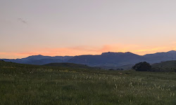 Pattridge Open Space