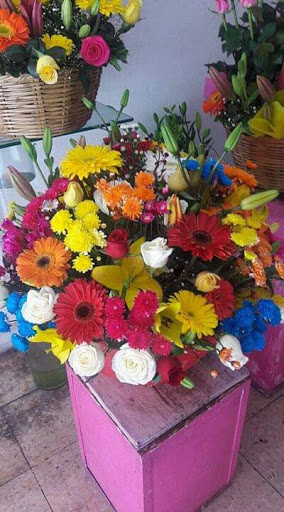 Florería Anthurio toluca florería en  en la zona Centro