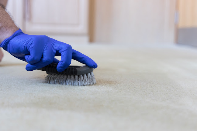 Reviews of Germ Clean in Preston - House cleaning service
