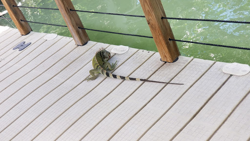 Aquarium «Florida Keys Aquarium Encounters», reviews and photos, 11710 Overseas Hwy, Marathon, FL 33050, USA