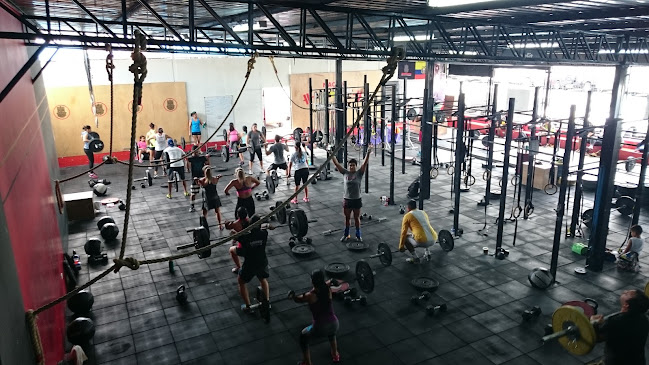Opiniones de Ambrose CrossFit en Guayaquil - Gimnasio