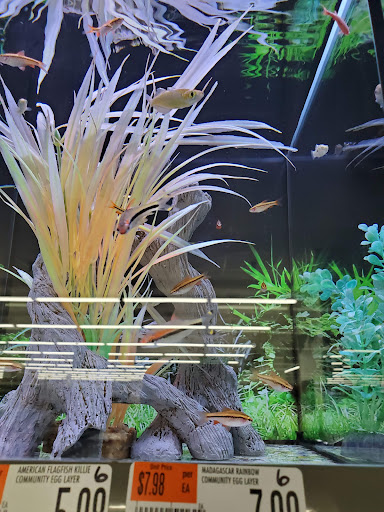 Pet Supply Store «Pet Supplies Plus», reviews and photos, 2821 W Kirby Ave, Champaign, IL 61821, USA