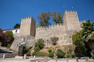 Castle Torres Novas image