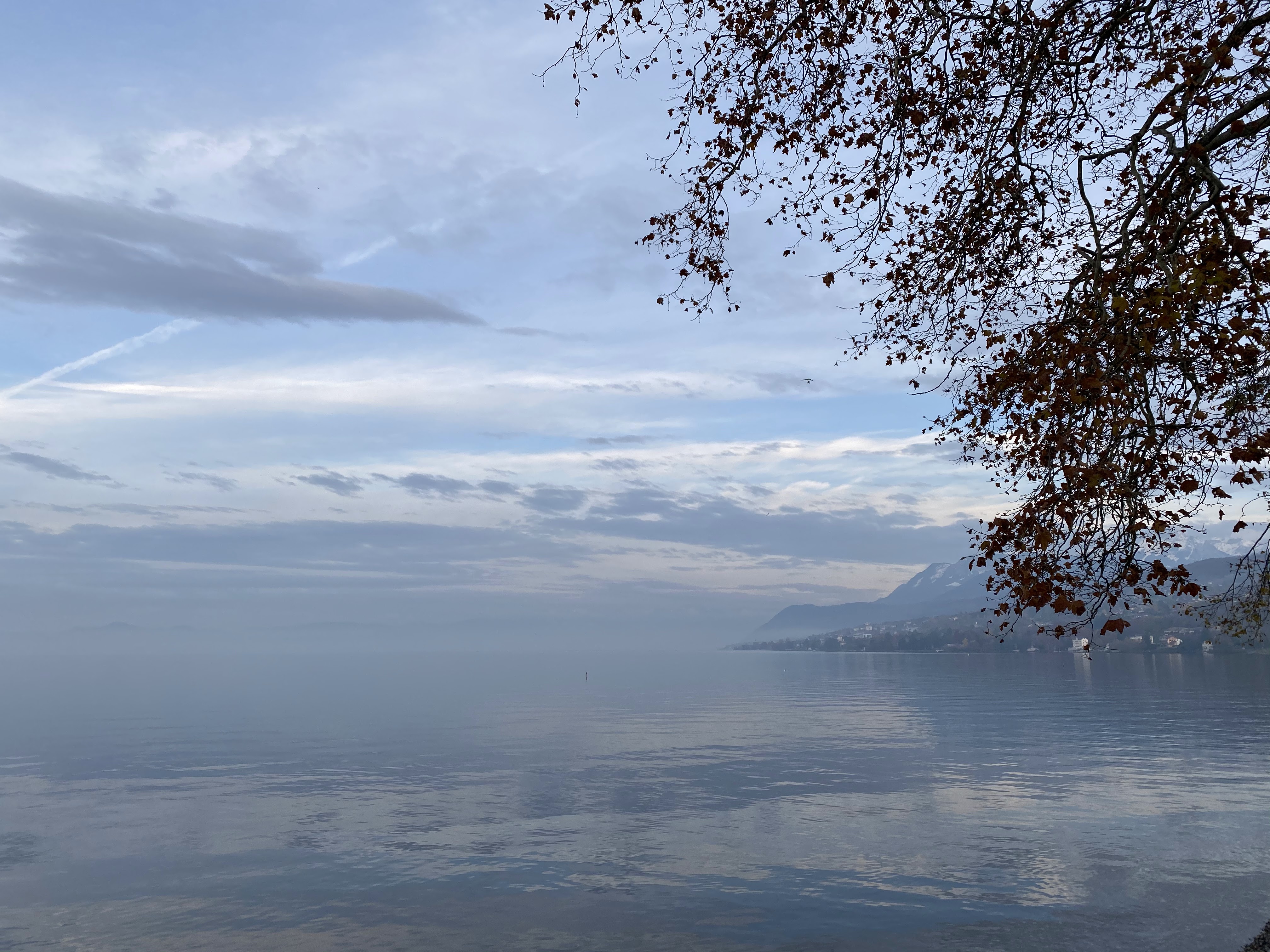 Photo n° 6 de l'avis de Sonia.. fait le 26/11/2019 à 16:53