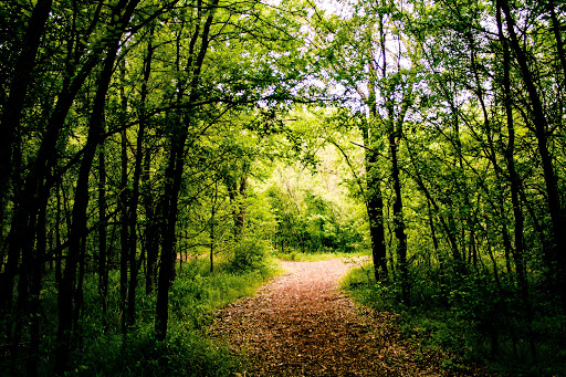 Nature Preserve «Elm Fork Nature Preserve Trail Entrance», reviews and photos, 2335 Sandy Lake Rd, Carrollton, TX 75006, USA