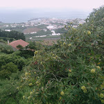 Photo n°12 de l'avis de Patrick.a fait le 20/04/2018 à 14:54 sur le  Hotel Camões à Ponta Delgada