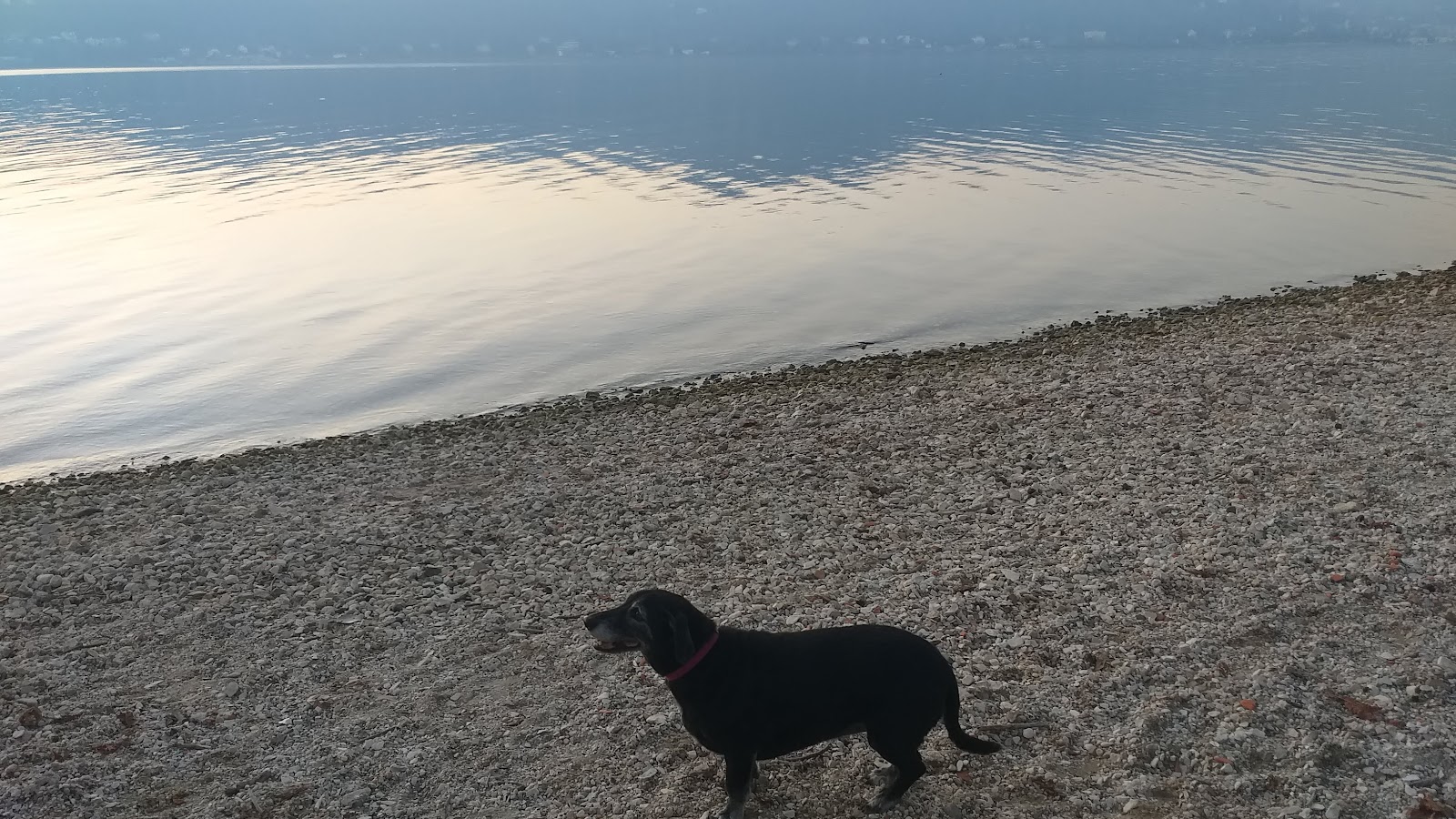 Foto von Spiaggia libera di Angera mit sehr sauber Sauberkeitsgrad