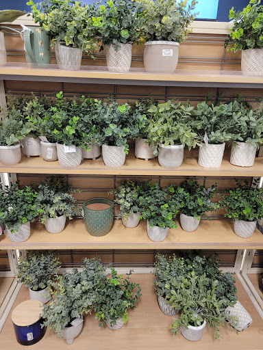 Department Store «Marshalls», reviews and photos, 13120 US-301 #101, Riverview, FL 33578, USA