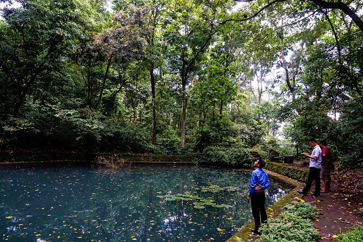 Menjelajahi Keindahan Hutan Nasional di Kabupaten Lombok Barat: Tempat yang Harus Dikunjungi