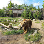 Photo n° 38 de l'avis de Sébastien. fait le 31/05/2021 à 20:21 pour Zoo d'Amnéville à Amnéville