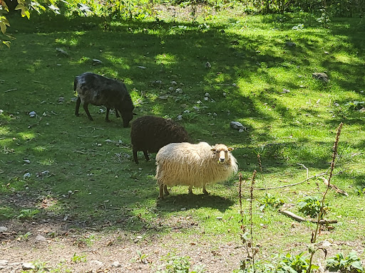 Tierscheune unter Unterkirnach, 