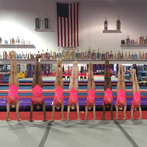 Gymnastics Center «1st Class Gymnastics», reviews and photos, 451 Defense Hwy, Annapolis, MD 21401, USA